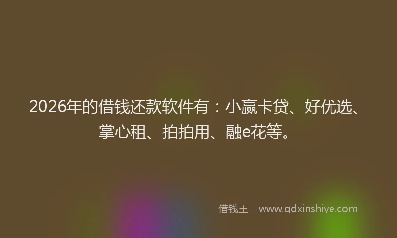 2026年的借钱还款软件有：小赢卡贷、好优选、掌心租、拍拍用、融e花等。
