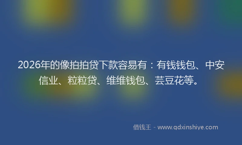 2026年的像拍拍贷下款容易有：有钱钱包、中安信业、粒粒贷、维维钱包、芸豆花等。