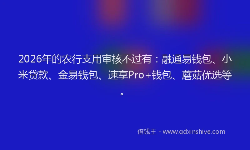 2026年的农行支用审核不过有：融通易钱包、小米贷款、金易钱包、速享Pro+钱包、蘑菇优选等。