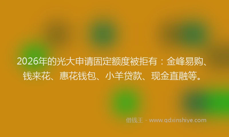 2026年的光大申请固定额度被拒有：金峰易购、钱来花、惠花钱包、小羊贷款、现金直融等。