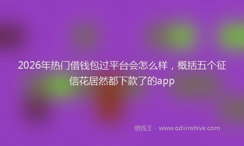 2026年热门借钱包过平台会怎么样，概括五个征信花居然都下款了的app