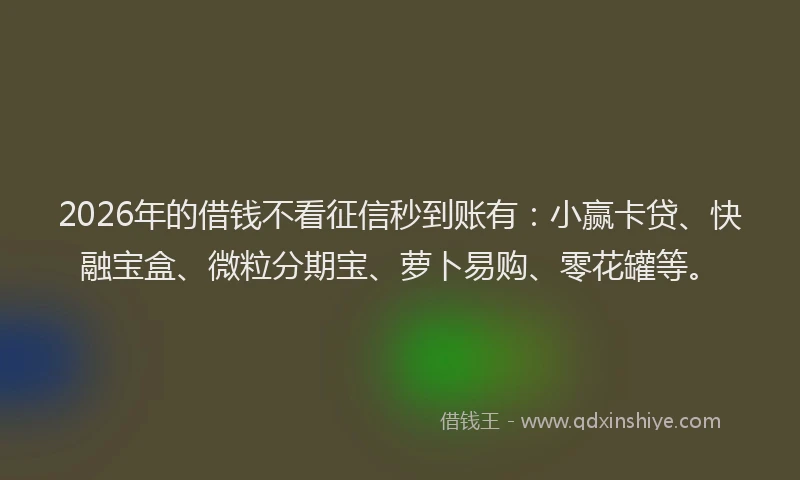 2026年的借钱不看征信秒到账有：小赢卡贷、快融宝盒、微粒分期宝、萝卜易购、零花罐等。