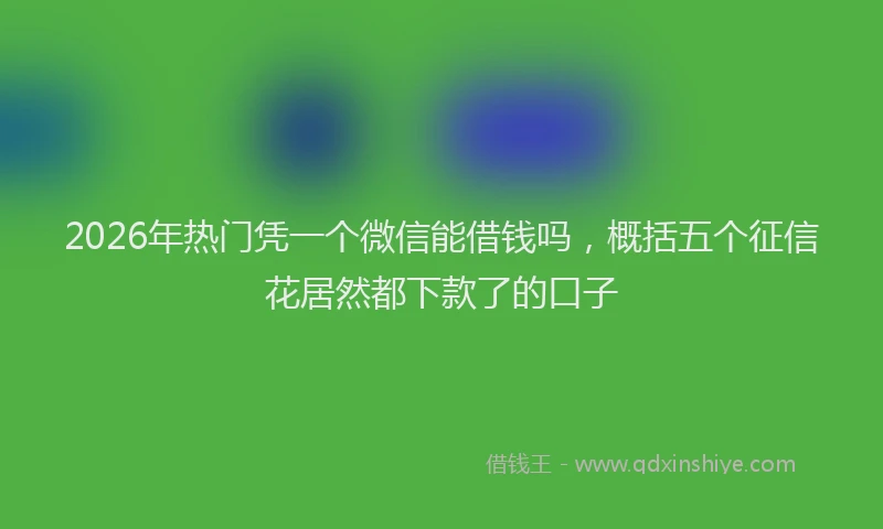 2026年热门凭一个微信能借钱吗，概括五个征信花居然都下款了的口子