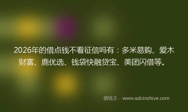 2026年的借点钱不看征信吗有：多米易购、爱木财富、鹿优选、钱袋快融贷宝、美团闪借等。