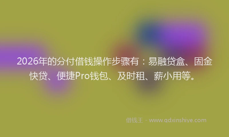 2026年的分付借钱操作步骤有：易融贷盒、固金快贷、便捷Pro钱包、及时租、薪小用等。