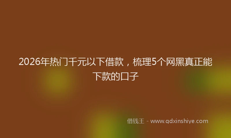 2026年热门千元以下借款，梳理5个网黑真正能下款的口子