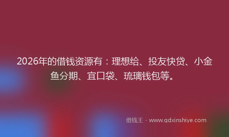 2026年的借钱资源有：理想给、投友快贷、小金鱼分期、宜口袋、琉璃钱包等。