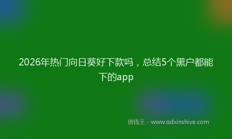 2026年热门向日葵好下款吗，总结5个黑户都能下的app