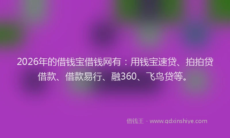2026年的借钱宝借钱网有：用钱宝速贷、拍拍贷借款、借款易行、融360、飞鸟贷等。