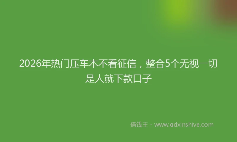 2026年热门压车本不看征信，整合5个无视一切是人就下款口子