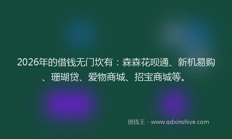 2026年的借钱无门坎有：森森花呗通、新机易购、珊瑚贷、爱物商城、招宝商城等。