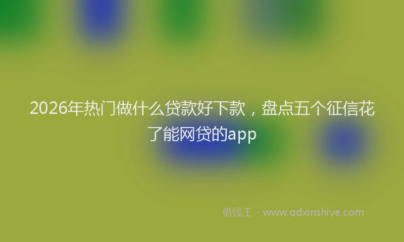 2026年热门做什么贷款好下款，盘点五个征信花了能网贷的app