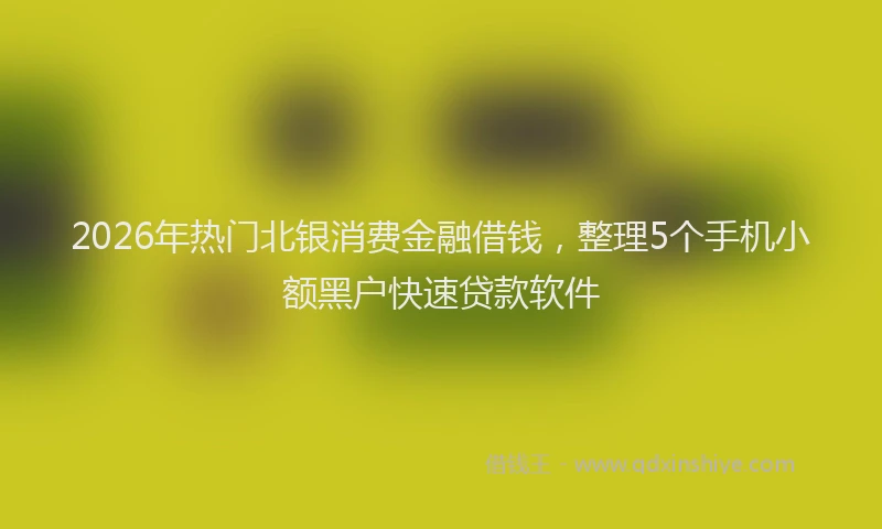 2026年热门北银消费金融借钱，整理5个手机小额黑户快速贷款软件