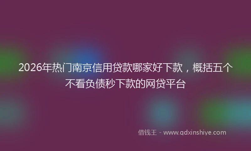 2026年热门南京信用贷款哪家好下款，概括五个不看负债秒下款的网贷平台