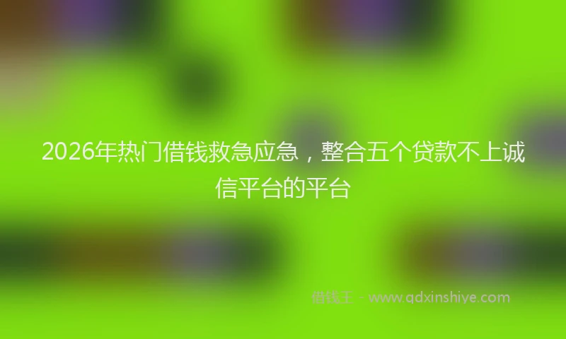2026年热门借钱救急应急，整合五个贷款不上诚信平台的平台