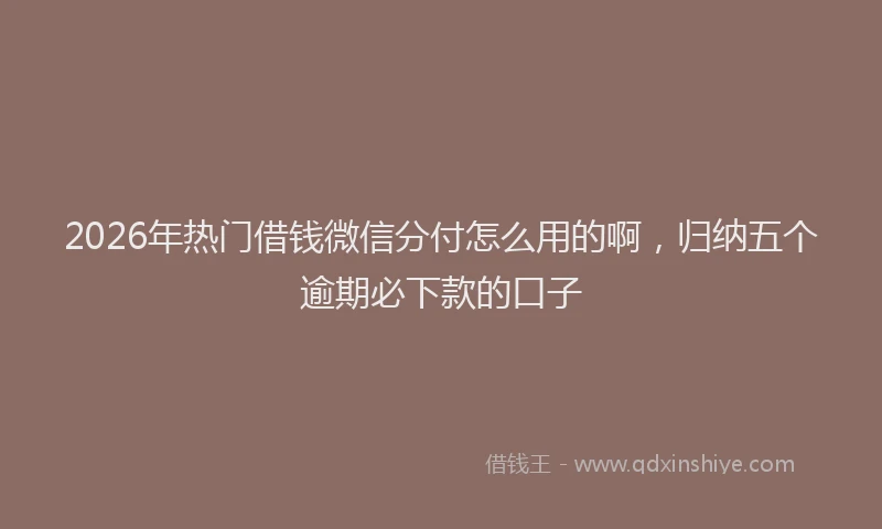 2026年热门借钱微信分付怎么用的啊，归纳五个逾期必下款的口子