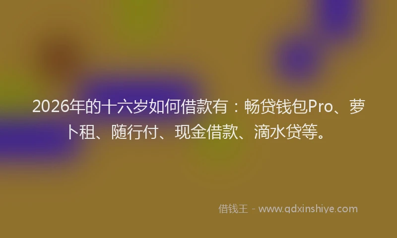 2026年的十六岁如何借款有：畅贷钱包Pro、萝卜租、随行付、现金借款、滴水贷等。