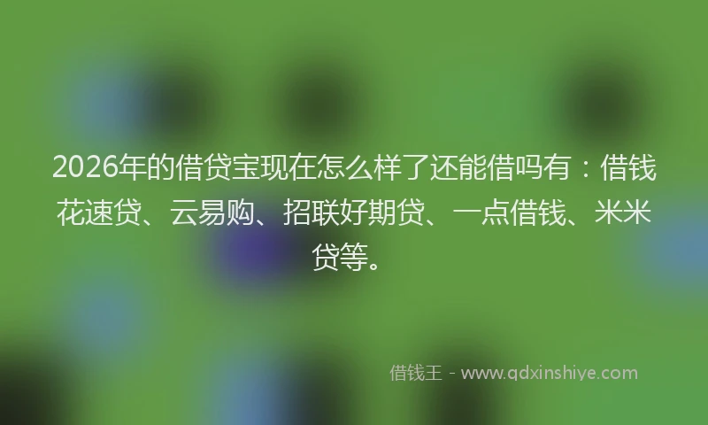 2026年的借贷宝现在怎么样了还能借吗有：借钱花速贷、云易购、招联好期贷、一点借钱、米米贷等。