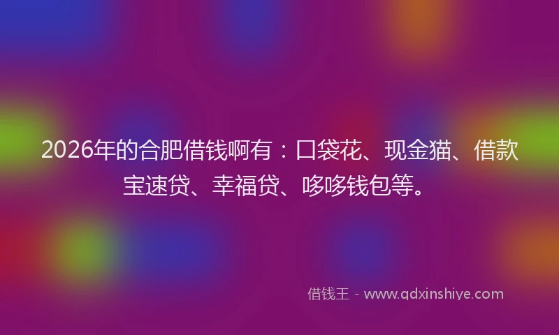2026年的合肥借钱啊有：口袋花、现金猫、借款宝速贷、幸福贷、哆哆钱包等。