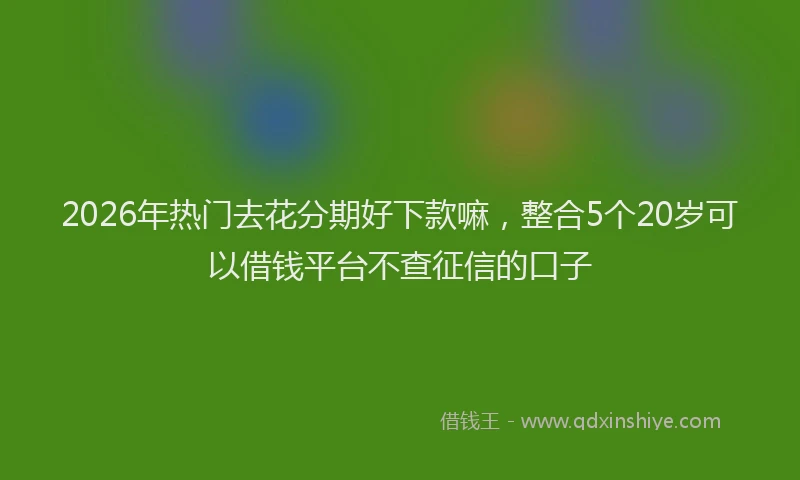 2026年热门去花分期好下款嘛，整合5个20岁可以借钱平台不查征信的口子