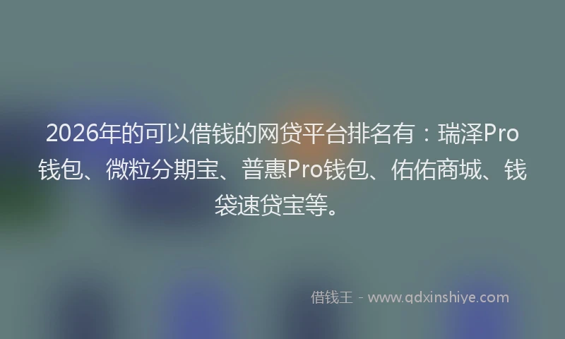 2026年的可以借钱的网贷平台排名有：瑞泽Pro钱包、微粒分期宝、普惠Pro钱包、佑佑商城、钱袋速贷宝等。