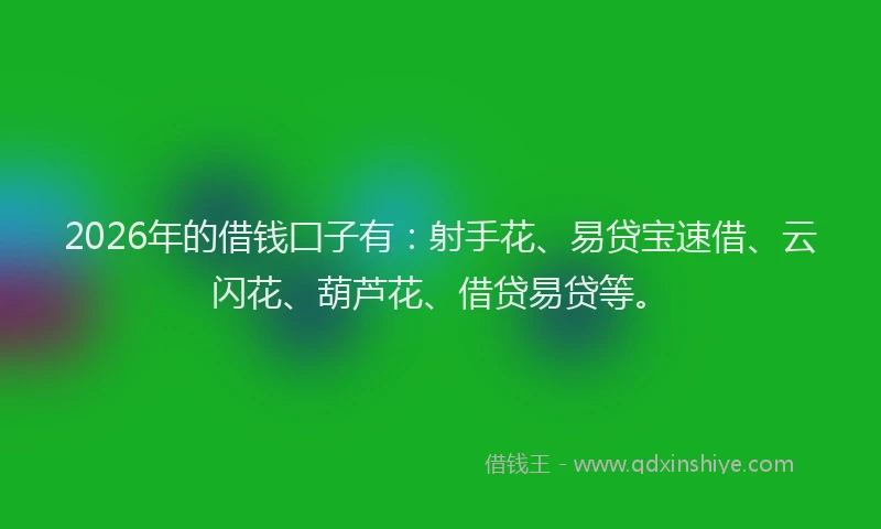 2026年的借钱囗子有：射手花、易贷宝速借、云闪花、葫芦花、借贷易贷等。