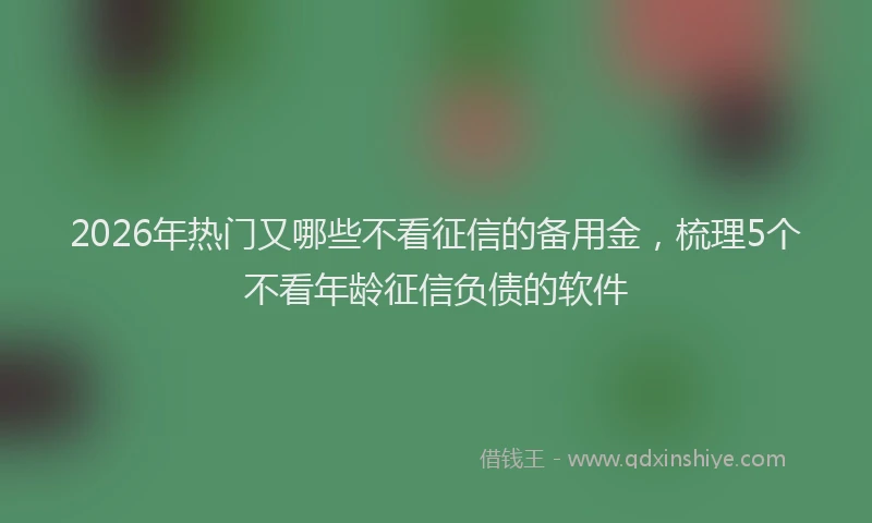 2026年热门又哪些不看征信的备用金，梳理5个不看年龄征信负债的软件