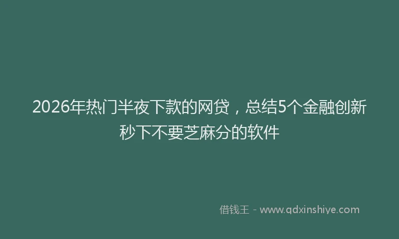 2026年热门半夜下款的网贷，总结5个金融创新秒下不要芝麻分的软件