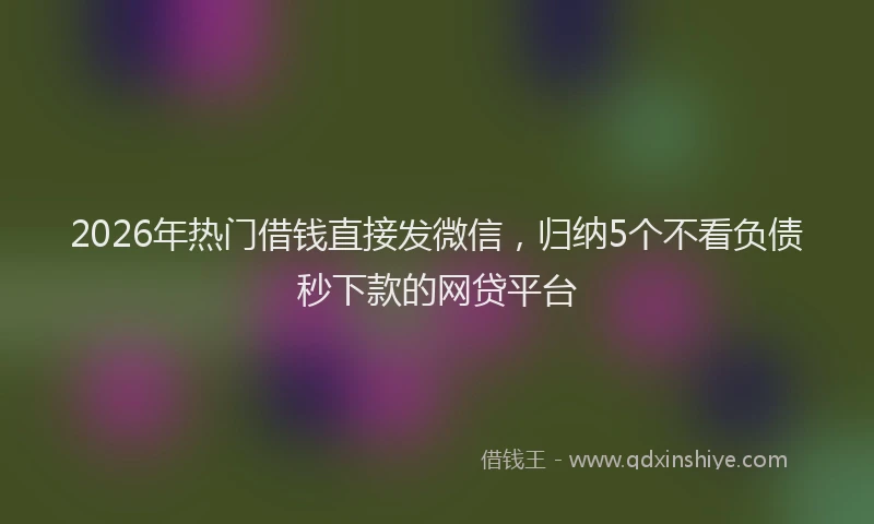 2026年热门借钱直接发微信，归纳5个不看负债秒下款的网贷平台