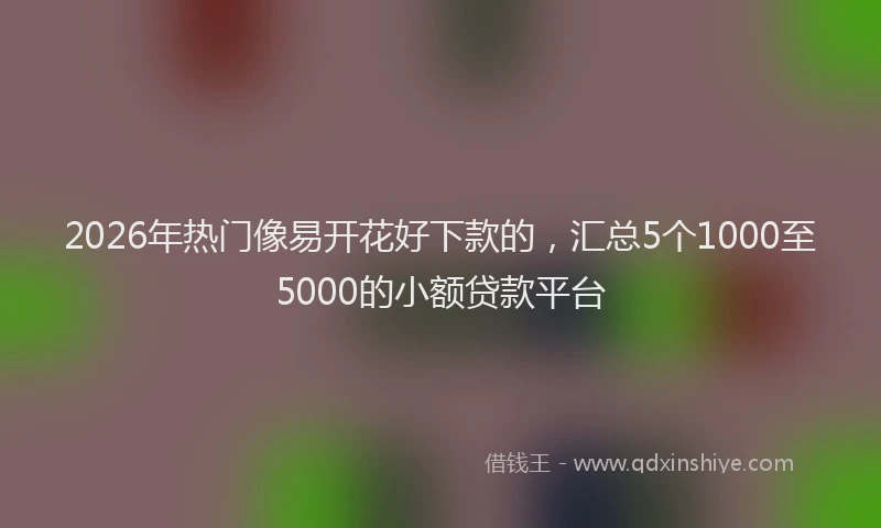 2026年热门像易开花好下款的，汇总5个1000至5000的小额贷款平台