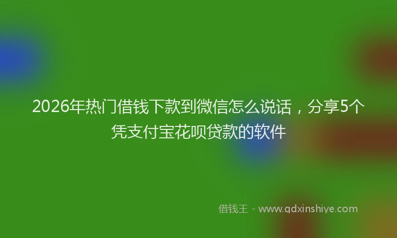 2026年热门借钱下款到微信怎么说话，分享5个凭支付宝花呗贷款的软件