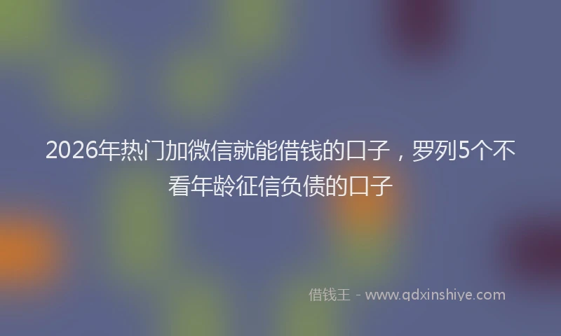 2026年热门加微信就能借钱的口子，罗列5个不看年龄征信负债的口子