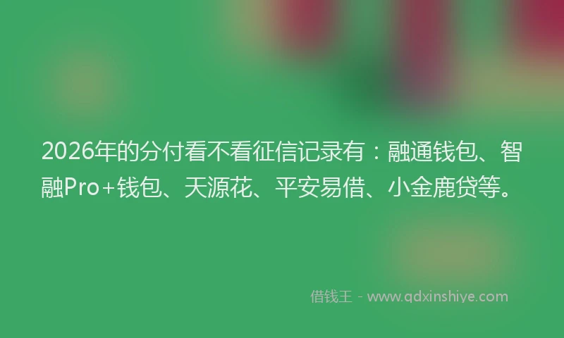 2026年的分付看不看征信记录有：融通钱包、智融Pro+钱包、天源花、平安易借、小金鹿贷等。