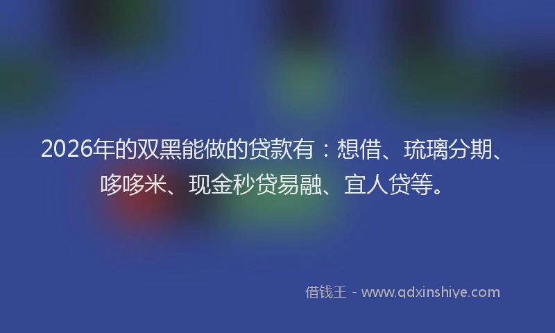 2026年的双黑能做的贷款有：想借、琉璃分期、哆哆米、现金秒贷易融、宜人贷等。
