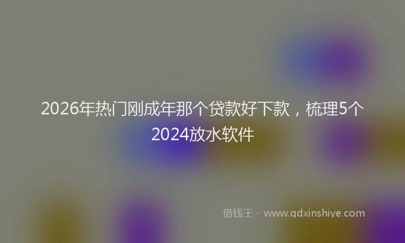 2026年热门刚成年那个贷款好下款，梳理5个2024放水软件