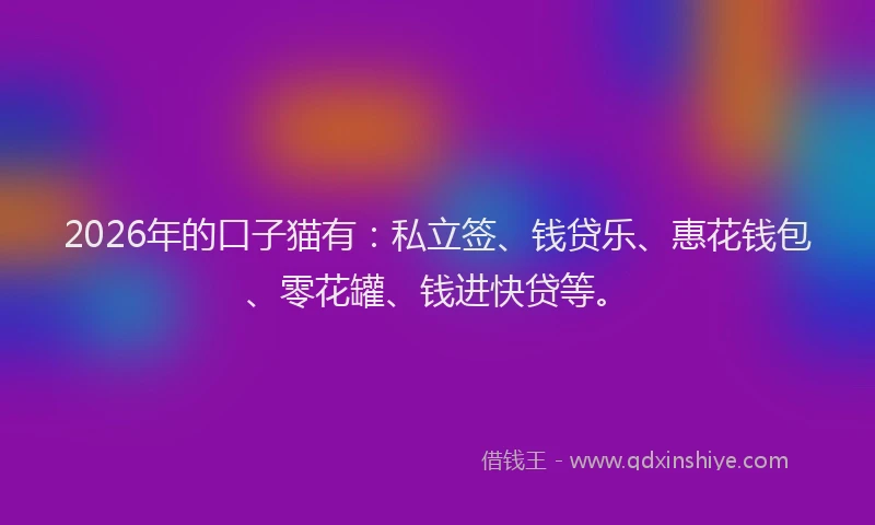 2026年的口子猫有：私立签、钱贷乐、惠花钱包、零花罐、钱进快贷等。