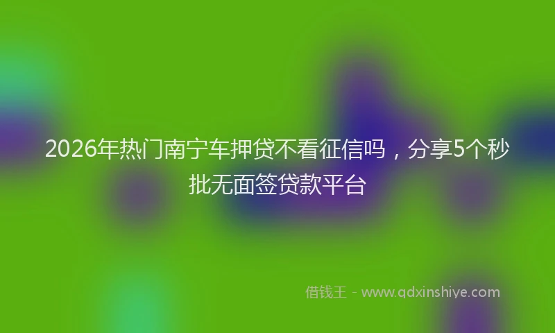 2026年热门南宁车押贷不看征信吗，分享5个秒批无面签贷款平台