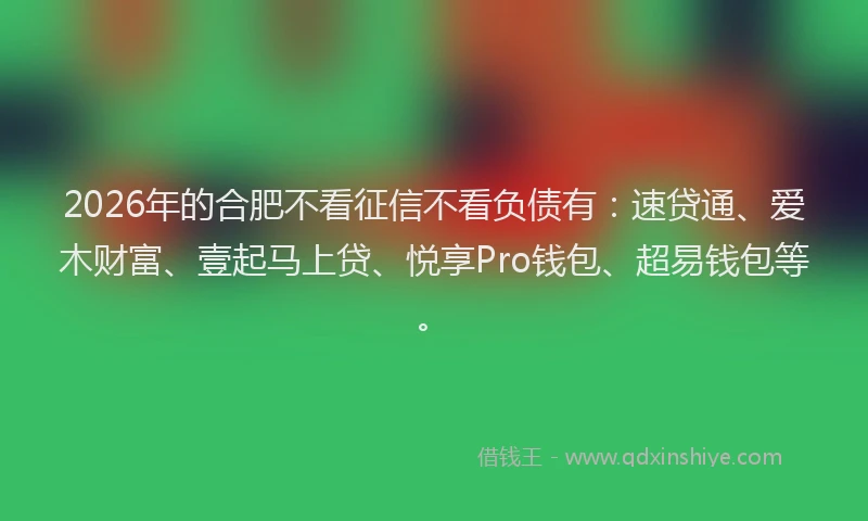 2026年的合肥不看征信不看负债有：速贷通、爱木财富、壹起马上贷、悦享Pro钱包、超易钱包等。