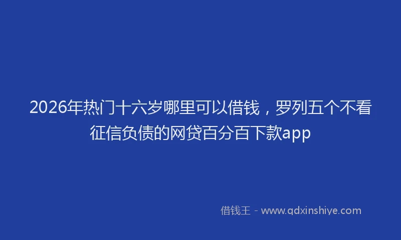 2026年热门十六岁哪里可以借钱，罗列五个不看征信负债的网贷百分百下款app