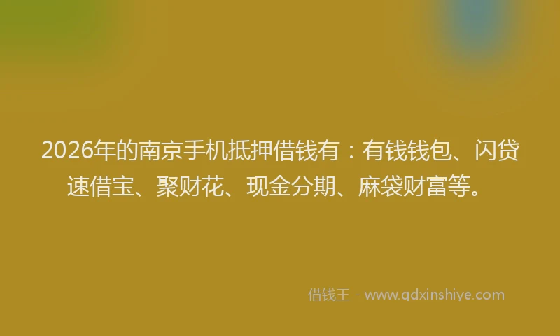 2026年的南京手机抵押借钱有：有钱钱包、闪贷速借宝、聚财花、现金分期、麻袋财富等。