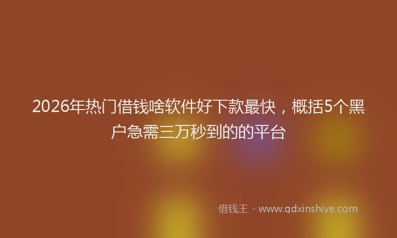 2026年热门借钱啥软件好下款最快，概括5个黑户急需三万秒到的的平台