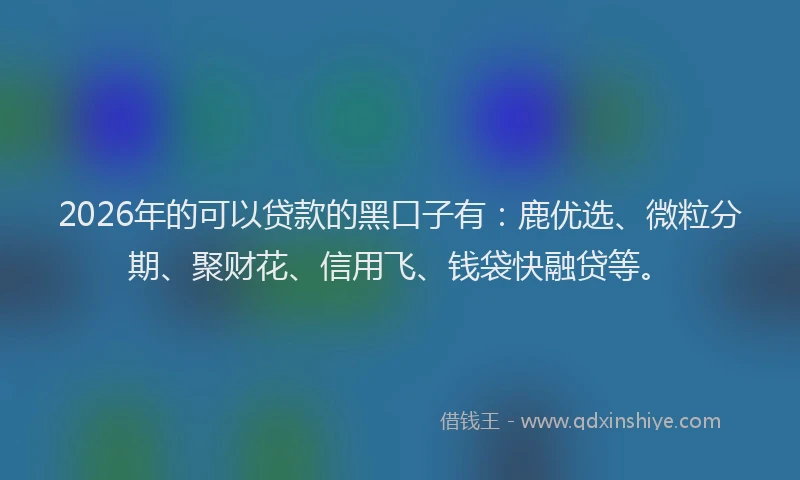 2026年的可以贷款的黑口子有：鹿优选、微粒分期、聚财花、信用飞、钱袋快融贷等。