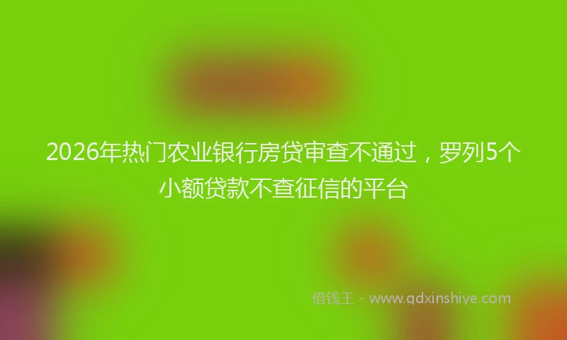2026年热门农业银行房贷审查不通过，罗列5个小额贷款不查征信的平台