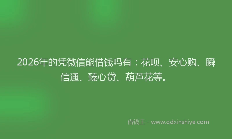 2026年的凭微信能借钱吗有：花呗、安心购、瞬信通、臻心贷、葫芦花等。