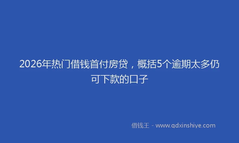 2026年热门借钱首付房贷，概括5个逾期太多仍可下款的口子