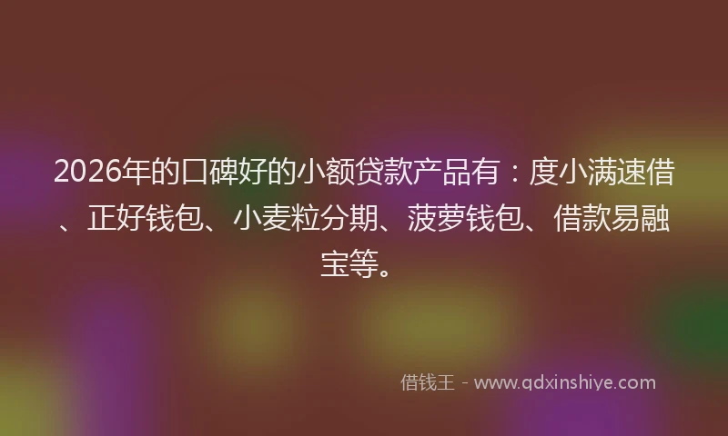 2026年的口碑好的小额贷款产品有：度小满速借、正好钱包、小麦粒分期、菠萝钱包、借款易融宝等。