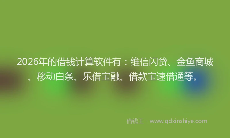 2026年的借钱计算软件有：维信闪贷、金鱼商城、移动白条、乐借宝融、借款宝速借通等。
