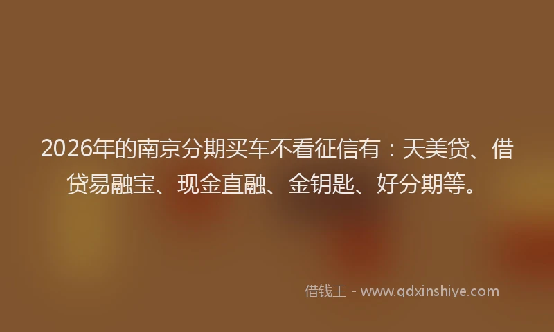 2026年的南京分期买车不看征信有：天美贷、借贷易融宝、现金直融、金钥匙、好分期等。