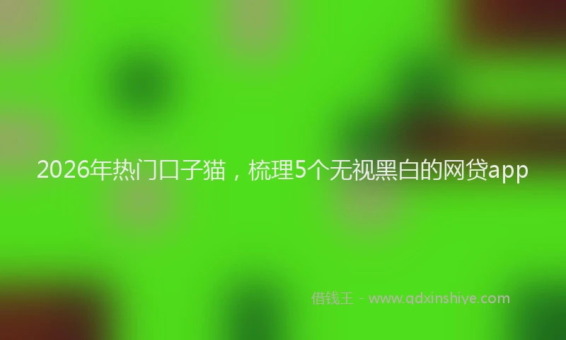 2026年热门口子猫，梳理5个无视黑白的网贷app