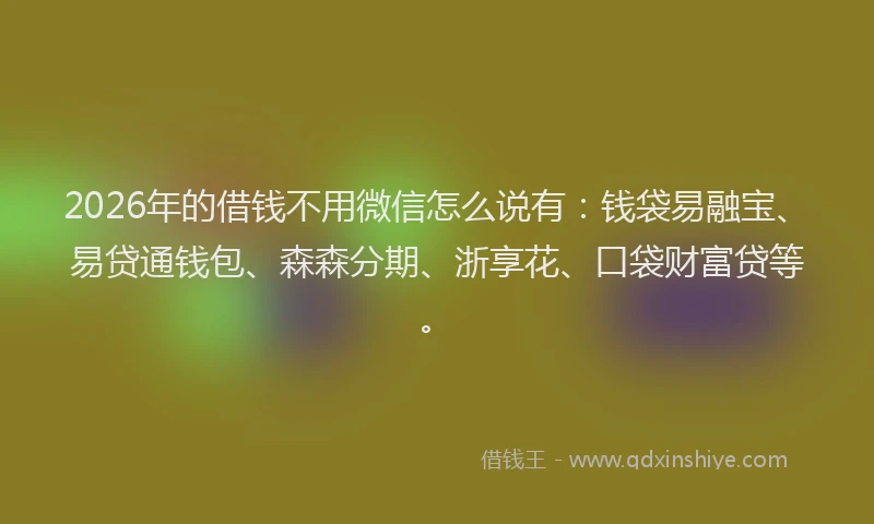 2026年的借钱不用微信怎么说有：钱袋易融宝、易贷通钱包、森森分期、浙享花、口袋财富贷等。